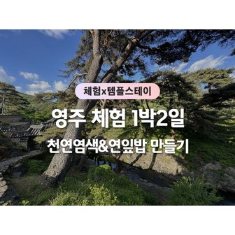 승우여행사 [영주 1박2일/리무진] 솔향기 마을 콩포트 체험 / 금계계곡 / 풍기인견 천연염색 스카프 만들기 체험 / 희방사 템플스테이