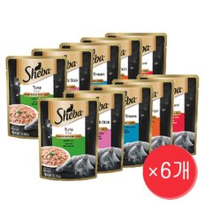 고양이 습식 주식 파우치 70g  x 6개 세트