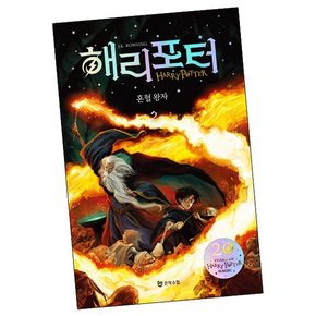 해리포터와 혼혈 왕자 2 학습교재 인문교재 소설 책 도서 책 문제집