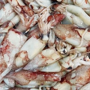 자연산 제철 급냉 한치 1kg 통찜 숙회용