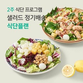 2주 샐러드 정기배송/ 짜여진 식단/ 매일 다른 샐러드로 맛있는 식단 관리(총10팩)