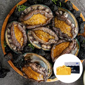 [선물세트] 산지직송 완도 활전복 1kg (10-12미)