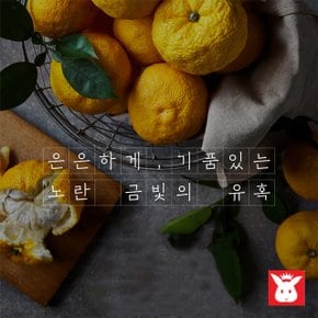 고흥농협 유자차 모과차 생강차 1kg2병 고흥 국산