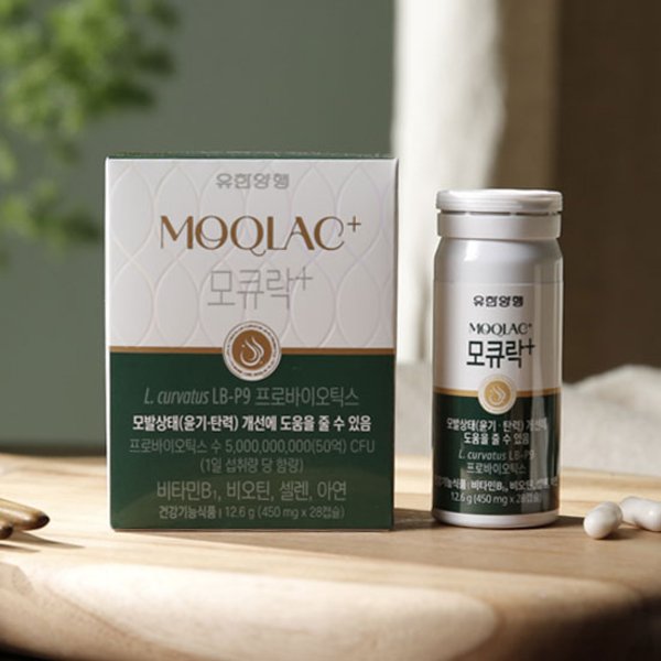 [모발유산균] 모큐락+ LB-P9 와이즈바이옴 4주분*6병 (24주분)