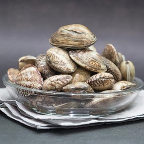 [남해바다] 싱싱한 활 참바지락(대) 1kg