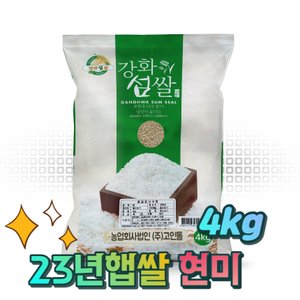 고인돌 주말특가(삼계탕용 재료증정)_(23년)강화섬쌀 현미 4kg