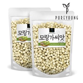 모링가 씨앗 300g+300g