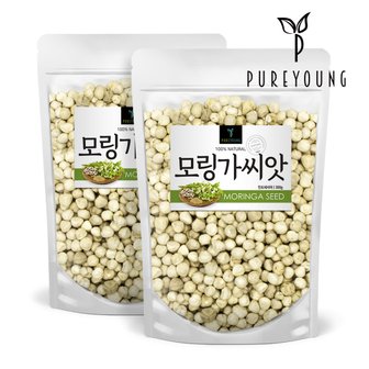 퓨어영 모링가 씨앗 300g+300g