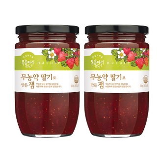  복음자리 무농약 딸기잼 500g x 2병