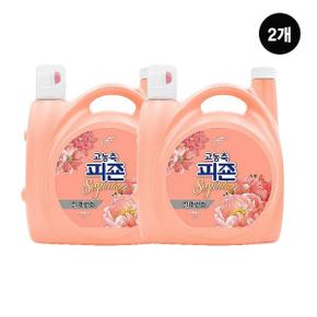 고농축피죤 시그니처 실내건조 5.7L 라피에스타 2개