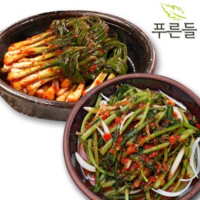 양념한가득 남도식 파김치 1kg+열무김치 1kg