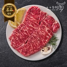 [냉장]1++No9등급 투뿔 한우 채끝살 구이용 500g