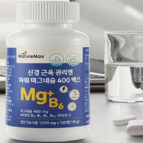 파워 마그네슘 400 맥스 120정