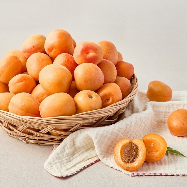 노지살구 2kg 특-상
