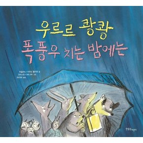 우르르 쾅쾅 폭풍우 치는 밤에는 - 한울림 별똥별 그림책 (양장)