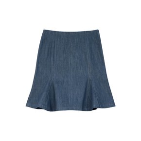 Denimer  skirt