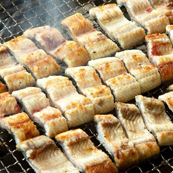 산지직송! 고창 풍천 자포니카 민물장어 1kg /손질 후 700g