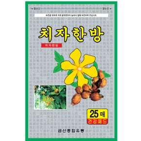 한눈알 치자 한방 패드 1개(25매) 건강 패치 찜질 국산 파스 형식