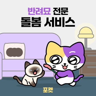 페팸 [포캣] 반려묘 전문 방문 펫시팅