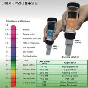 대만,정밀도,ORP메타/ORP측정기/ORP메타/6041