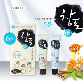 중외제약 창포단 5분 6호 자연진갈색 50g 친환경 프리미엄 새치염색약