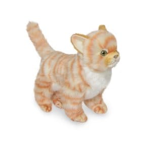 6573 아기고양이 동물인형(Ginger)/30cm.L