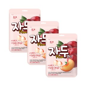 해태 자두캔디 130g x 3개 / 사탕 캔디