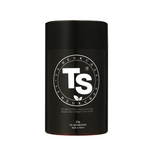 TS 티에스 흑채 23g