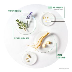 트리파직 앰플 샴푸 250ml 듀오(+랜덤 30mlX2 증정)