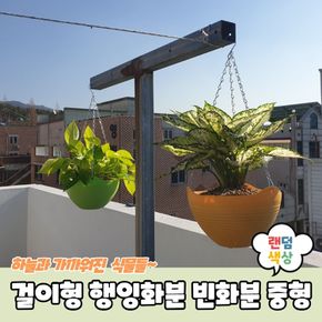 베란다텃밭 걸이형 행잉화분 빈화분 중형 배란다텃밭