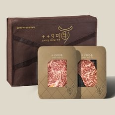 [SSG단독][냉장]1++No9등급 투뿔 한우 시그니처 구이 선물세트 500g (등심250g/채끝살250g)