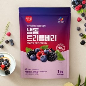 [CJ프레시웨이] 냉동 트리플베리 1kg