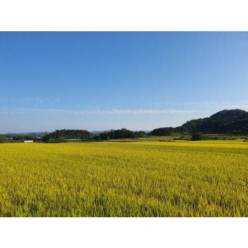 문경가을전경