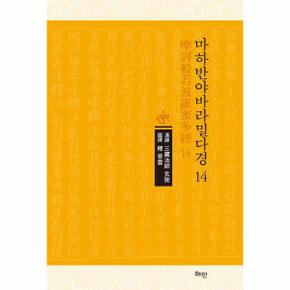 마하반야바라밀다경 14 (양장)