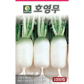 (DN)호영무 1000립 동치미무