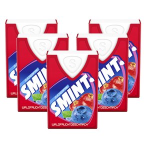 Smint 스민트 포레스트 캔디 40피스 5개