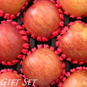 [바로배송] [농협공판장] 정성드린 프리미엄 장수사과세트 5kg(특7-10과내)