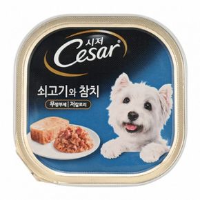 강아지습식사료 강아지 시저 소고기 참치캔 100g 1P 애견 습식 사료