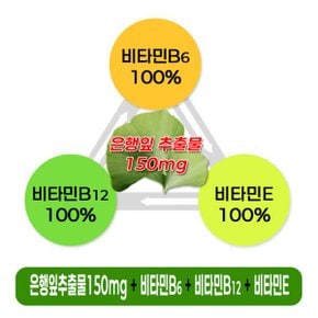 미네징코 100정 은행잎추출 기억력 혈행개선 6중복합