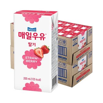 매일 멸균우유 딸기 200ml 48팩_P308880558