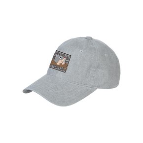 NEO BALL CAP [GRAY]