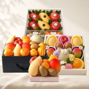 [신세계X온세담]제철과일 조합 프리미엄 선물세트_다양한 구성, 다양한 포장 준비