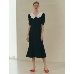 Molly / Point Collar Flare Dress