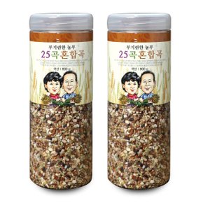 [부지런한 농부] 국내산 전남고흥군 페트용기 25곡혼합곡  800g x 2개
