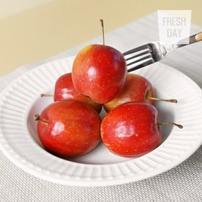 고당도 한입사과 영천 알프스오토메 미니사과 소과 2kg