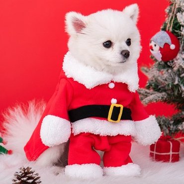 텐바이텐 반려동물 강아지 고양이 크리스마스 애견 산타옷 코스프레 코스튬