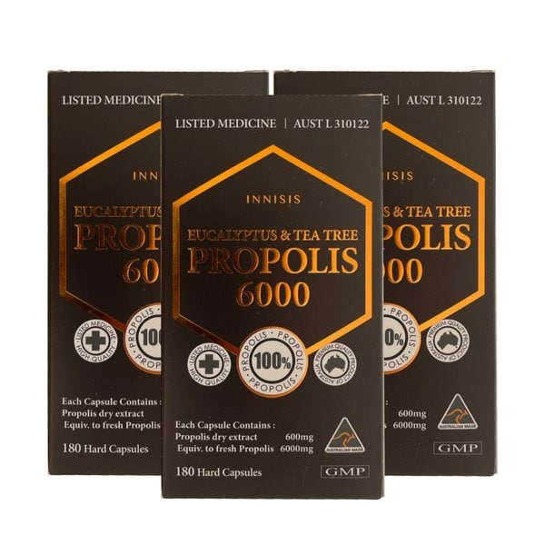 시니케어 이니시스 프로폴리스 유칼립투스 티트리 6000mg 180캡슐 3개
