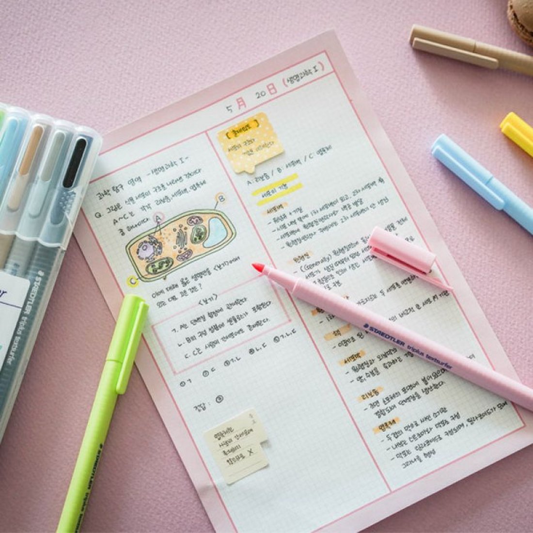 [내맘대로리뷰] 스테들러_트리플러스 10