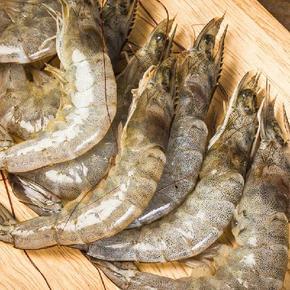국내산 제철 활 흰다리새우 1kg 33미내외
