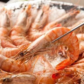 국내산 제철 활 흰다리새우 1kg 33미내외